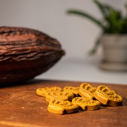 Chocolita - Organic Golden Mylk Bites - 1oz