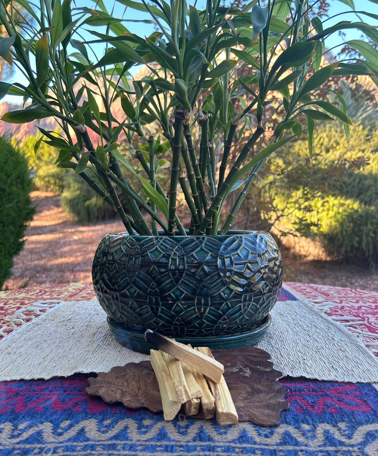 Palo Santo Incense Sticks - 6 Sticks per bundle